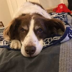 Meet your Posher, Ed